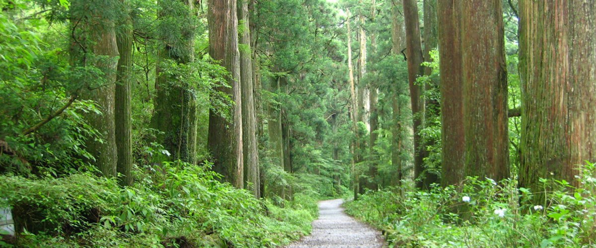 箱根芦ノ湖のエリア別のご案内｜観光・宿泊ガイド「芦ノ湖なび」